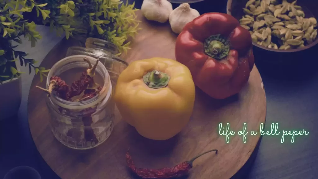 How To Freeze Bell Peppers