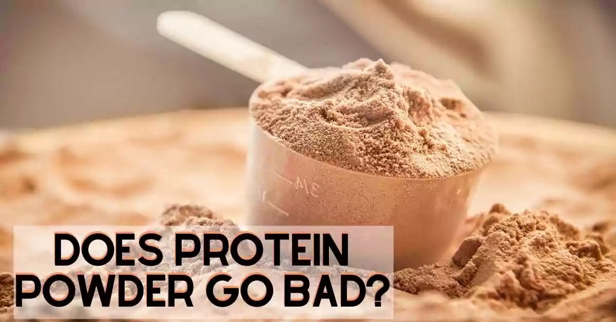 Does Protein Powder Go Bad