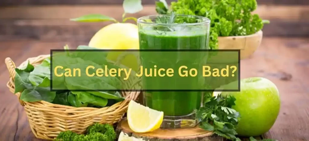 Can Celery Juice Go Bad